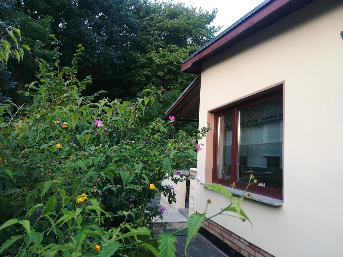 Ferienhaus Am Wald Loissin Esterno foto