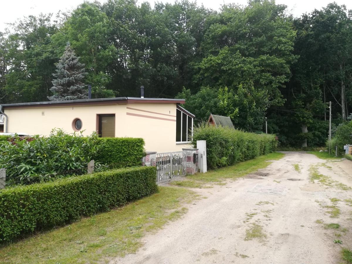 Ferienhaus Am Wald Loissin Esterno foto